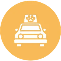 Pet Taxi